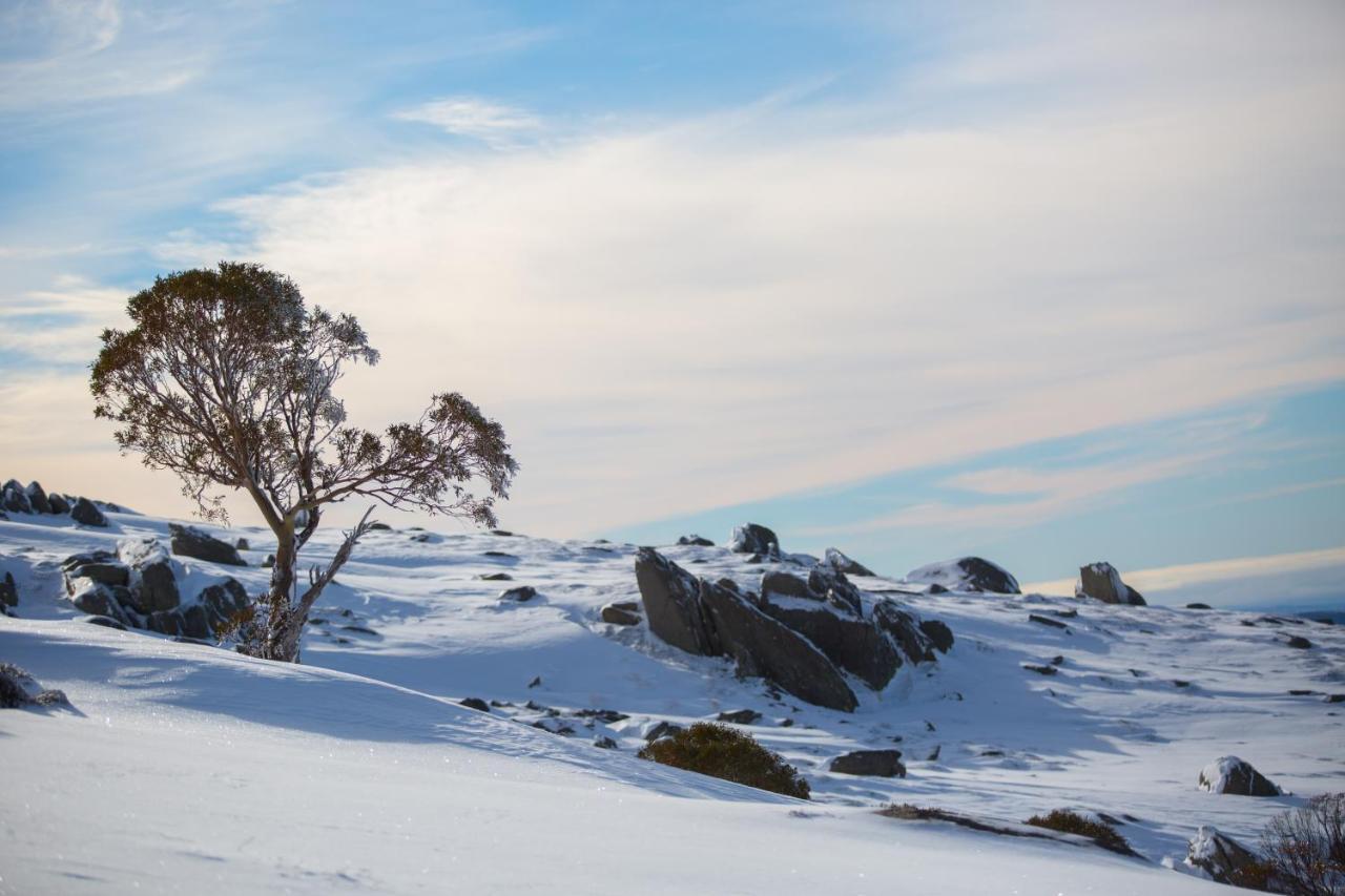 Aneeki Ski Lodge Thredbo Bagian luar foto